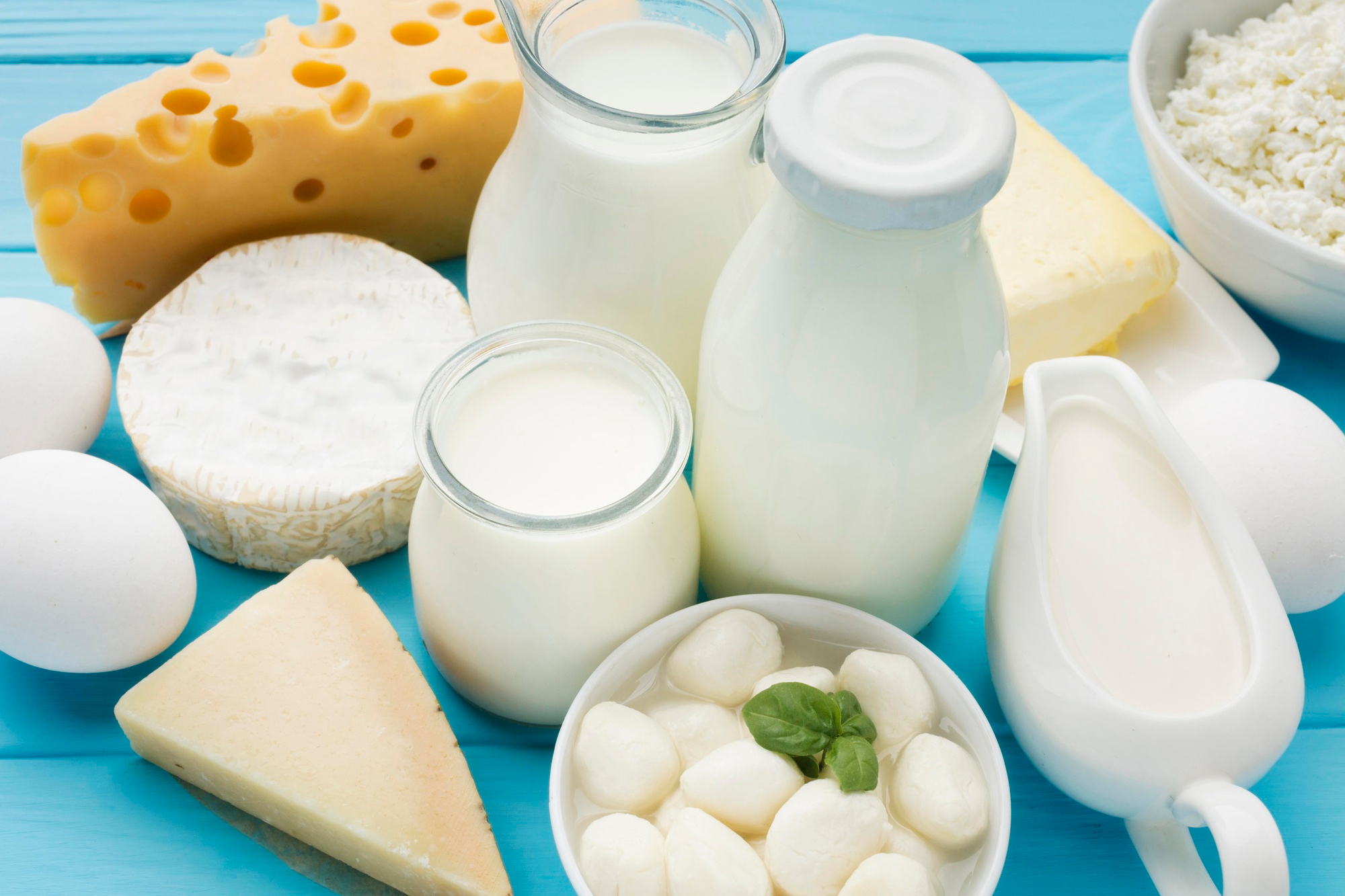Alimentos